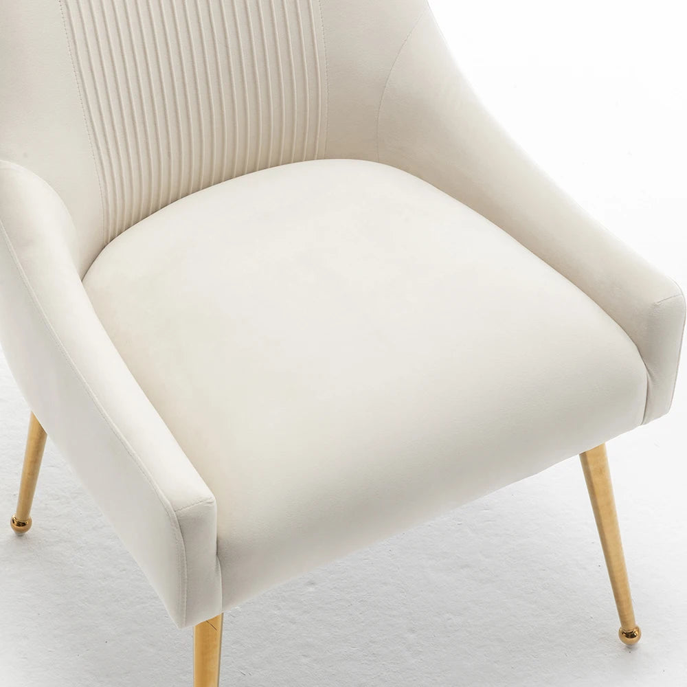 Modern Velvet Dining Chairs