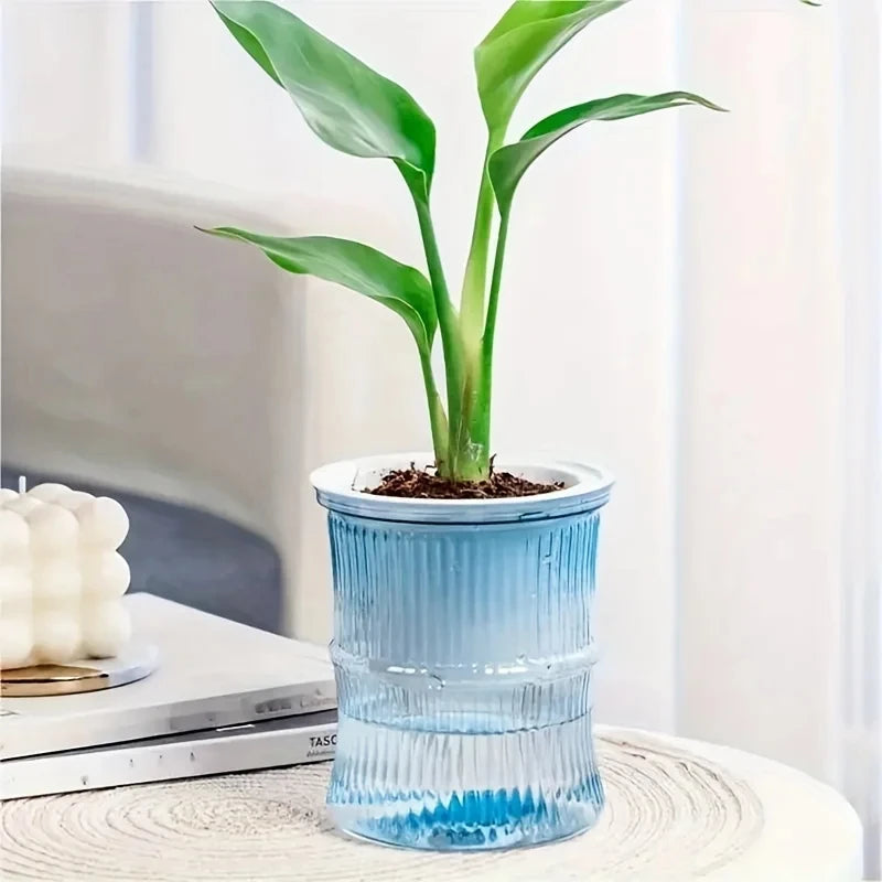 Hydroponic Flower Pot