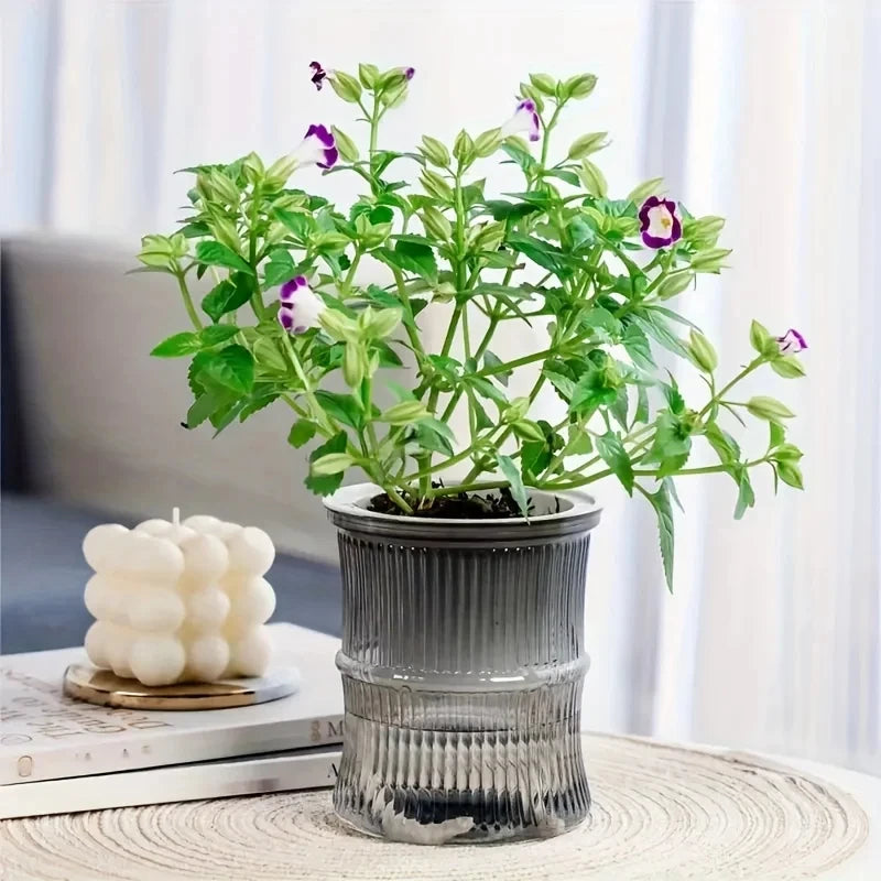 Hydroponic Flower Pot