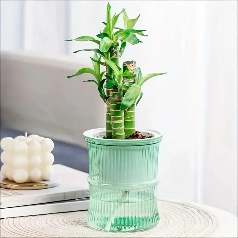 Hydroponic Flower Pot