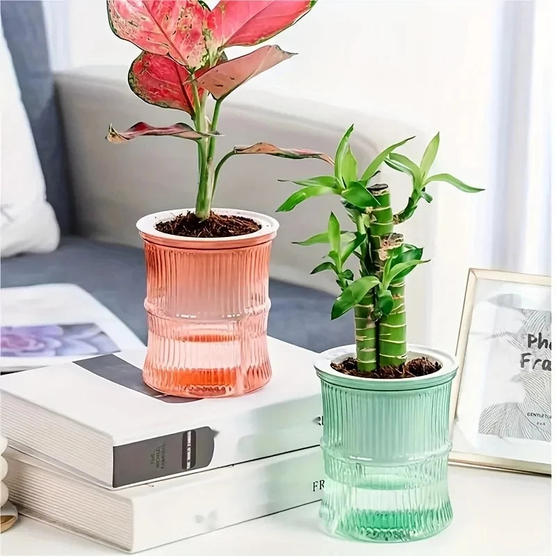 Hydroponic Flower Pot