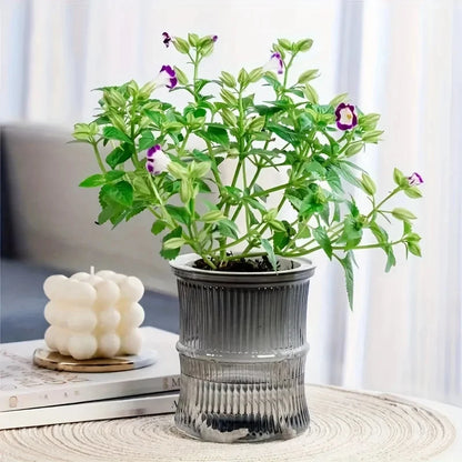 Hydroponic Flower Pot
