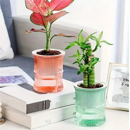 Hydroponic Flower Pot
